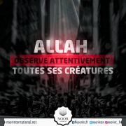 Allah observe attentivement toutes Ses créatures