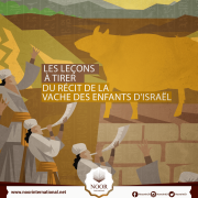 Les leçons à tirer du récit de la vache des Enfants d'Israël