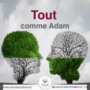 Tout comme Adam