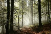 "Lorsqu’il vous est adressé un salut, adressez-en un meilleur ou rendez le même salut. ..."