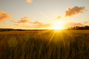 Y, ciertamente, os hemos dado poder y posición en la tierra (¡oh, gentes!)