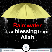 Rain water is a blessing from Allah