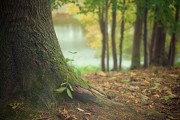 "​Il a fait descendre sur toi (en révélation) le Livre de la Vérité ..."